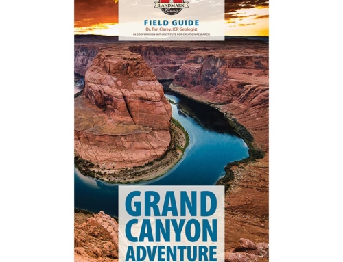 Grand Canyon Adventure Field Guide